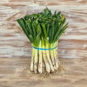 calsots de valls manojo de 50 calsots crudos y frescos