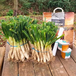 mini pack calçotada + sarmientos