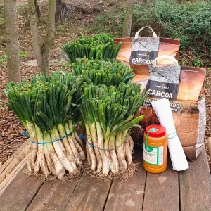 pack calçotada para 8 10 personas con sarmientos