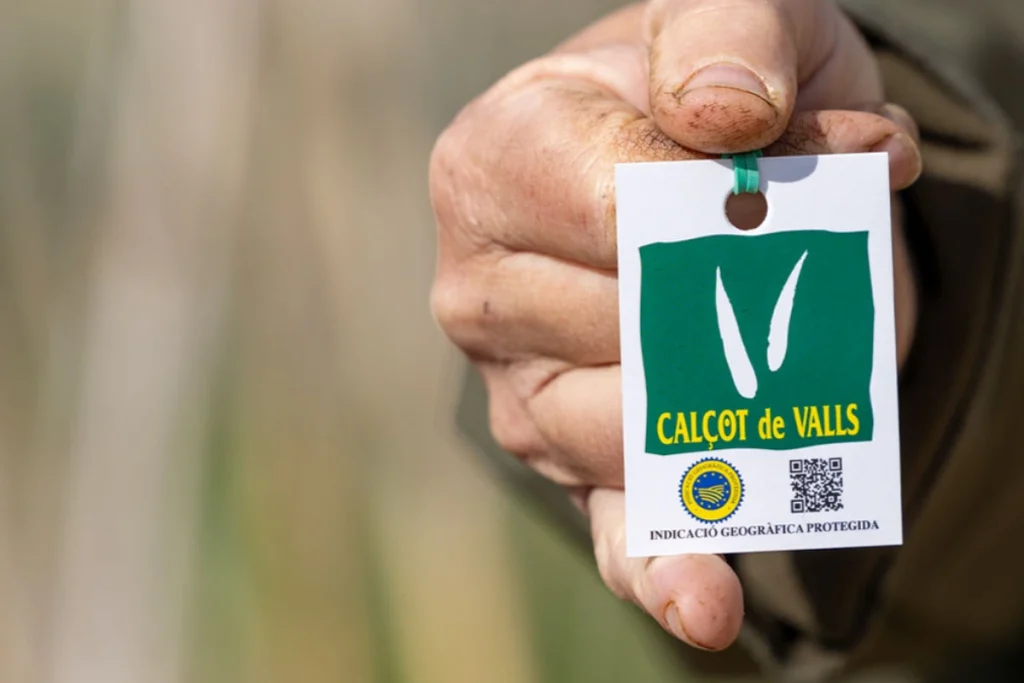 igp calçot de valls