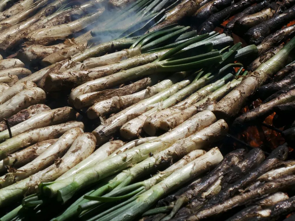 Calçots a la brasa, exposats a la intempèrie
