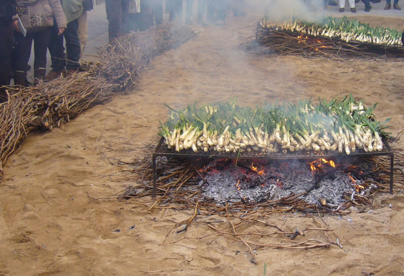 Flama viva de sarments coent calçots
