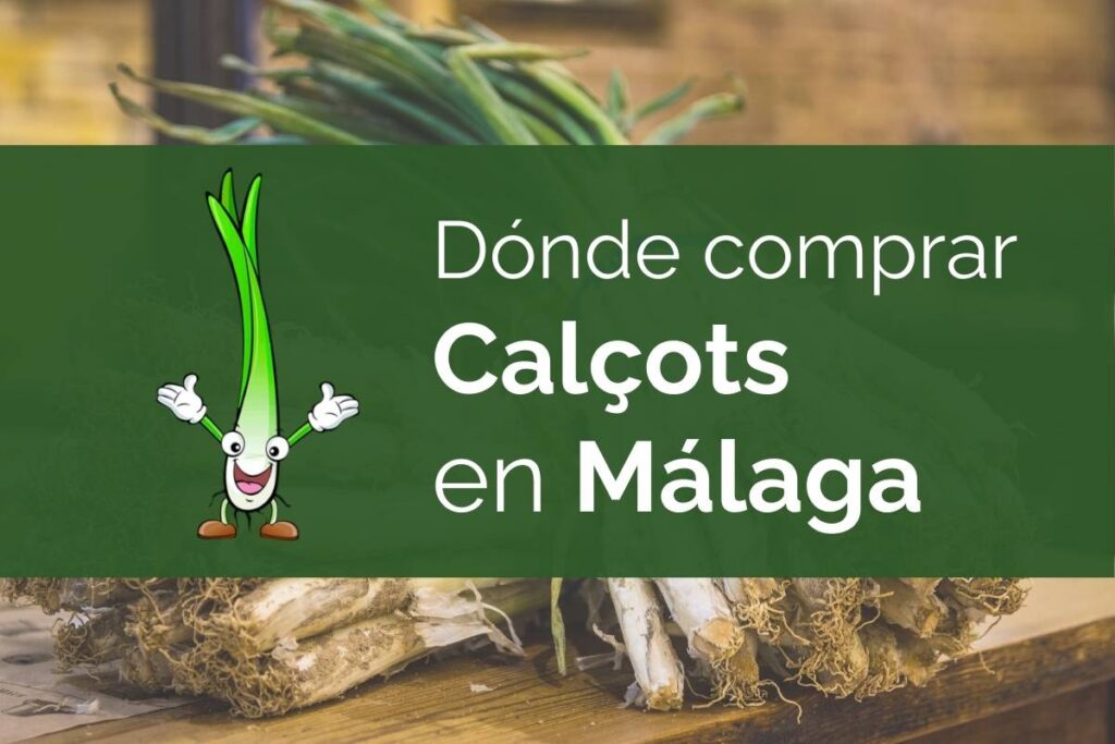 On comprar calçots a Màlaga